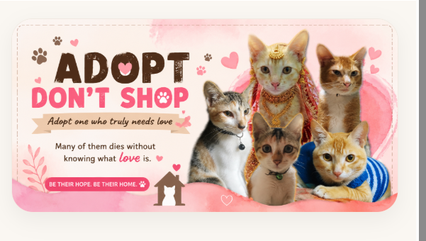 Adopt Don't Shop 2